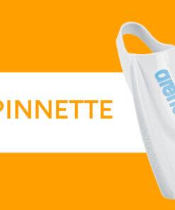 Pinnette